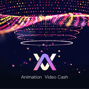 Animation Vision Cash 